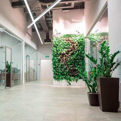 Вертикальное озеленение офиса компании НефтьМагистраль. Фитостены и напольные растения